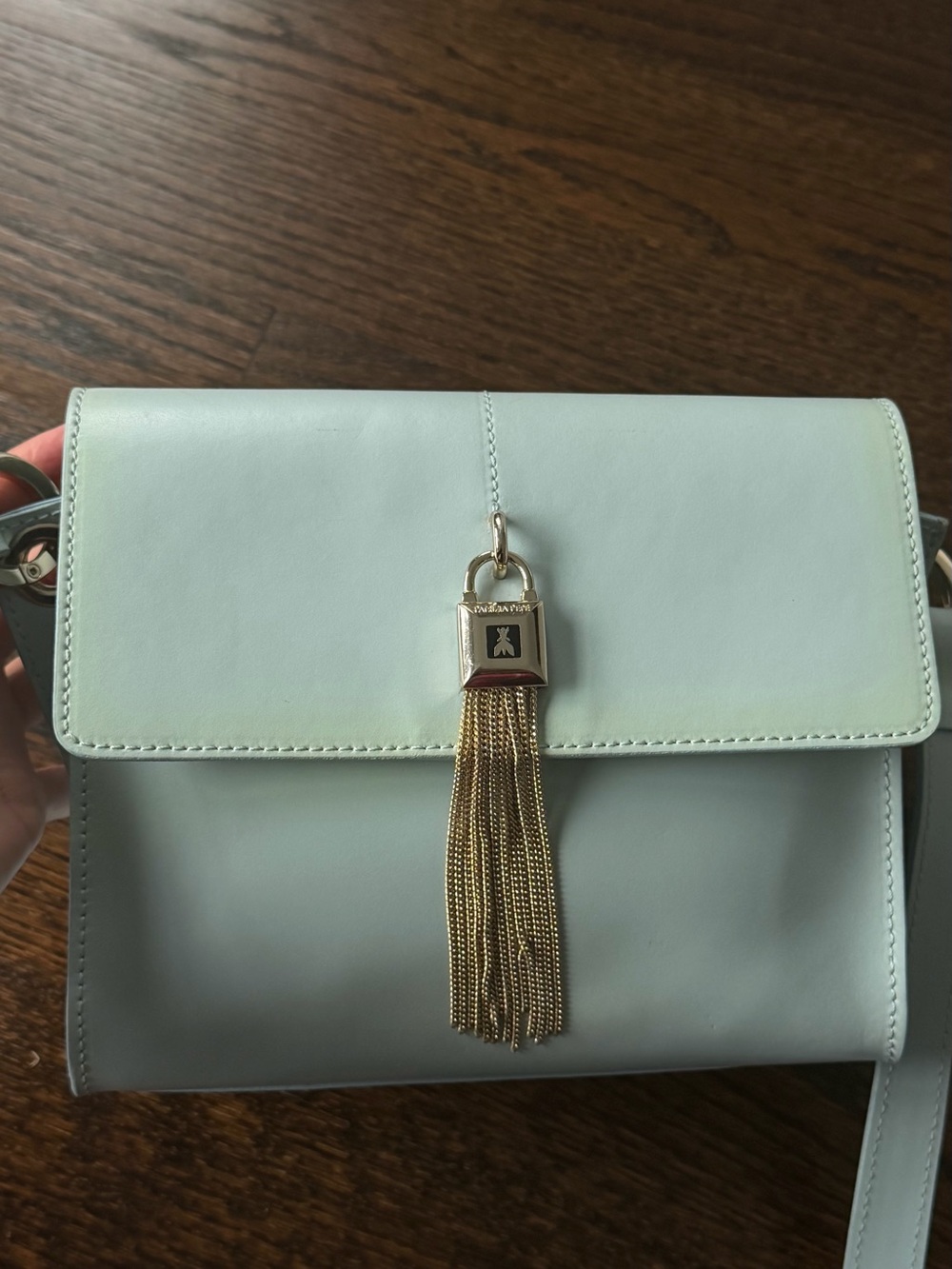 Mint Green Leather Crossbody Bag with Gold Tassel